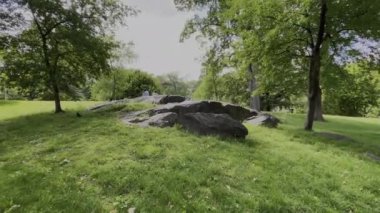 New York, ABD; 5 Şubat 2024: Central Park 'ın ortasında Stone, New York' un ortasında büyük yeşil bir çim (ABD).