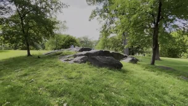 Nowy Jork Usa Lutego 2024 Kamień Środku Central Parku Duży — Wideo stockowe