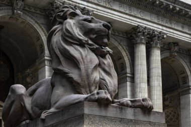 New York, ABD; 4 Haziran 2023: Sabır New York kütüphanesini koruyan mermer aslanlardan biri arka planda bir sürü kitap barındırıyor ve filmler için bir ortam hazırlıyor..