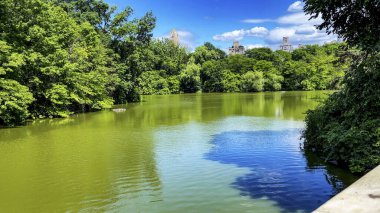 Central Park Gölü (İngilizce: Central Park Lake), New York 'ta, Manhattan' ın metropolitan bölgesinde bulunan bir şehir parkı.).