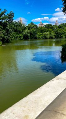 Central Park Gölü (İngilizce: Central Park Lake), New York 'ta, Manhattan' ın metropolitan bölgesinde bulunan bir şehir parkı.).