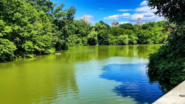Central Park Gölü (İngilizce: Central Park Lake), New York 'ta, Manhattan' ın metropolitan bölgesinde bulunan bir şehir parkı.).