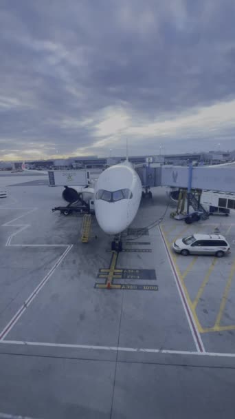 2024년 10일 이베리아 항공의 A350 케네디 국제에서 항공기와 주차장에 뉴욕시 — 비디오