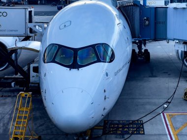 New York, ABD; 4 Haziran 2023: Iberia Airlines 'ın bir Airbus A350' si, John F. Kennedy International 'daki diğer uçaklarla birlikte park yerine park etti..