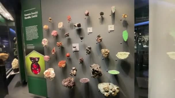 Minerales Meteoritos Todo Tipo Restos Geológicos Piedras Preciosas Museo Americano — Vídeo de stock