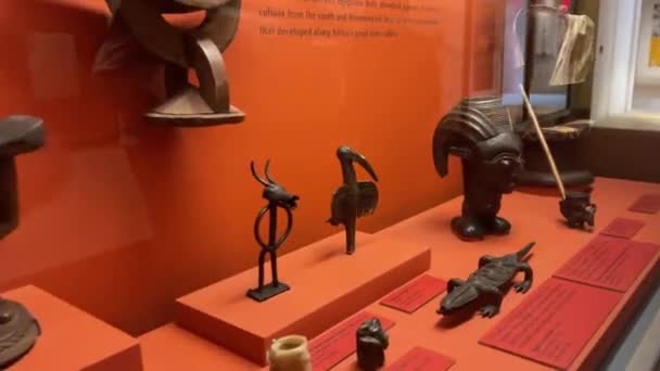 アメリカ合衆国ニューヨーク 2024年1月10日 アメリカ自然史博物館のホールを歩き そこに存在した部族や文化に属する彫像や道具がある — ストック動画