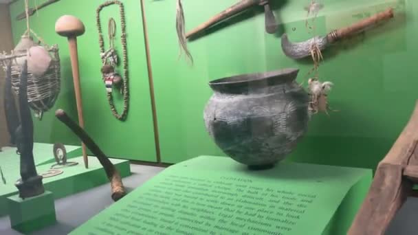 2024年1月10日 美国纽约 享受美国自然历史博物馆的大厅 那里有属于各个部落和文化的雕像和器皿 — 图库视频影像