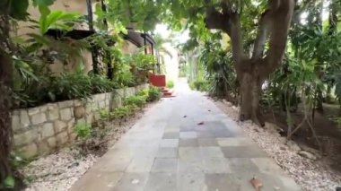 Karayipler 'de beyaz kum ve kristal berrak turkuaz sulardan oluşan paradisiyal bir plajda lüks bir otelin tropikal bitki örtüsü boyunca yürüyorum..