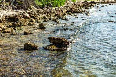 Beyaz deniz kuşu yüzen bir balığı yakalamaya hazır ve özenli, dinlenebileceği, beslenebileceği ya da uçabileceği bir yerde..