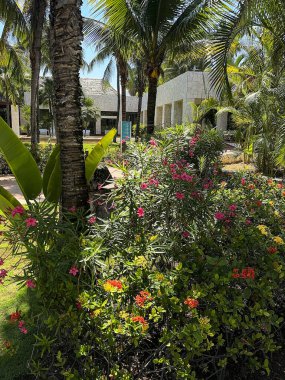 Tropikal bitki örtüsünün yemyeşil olduğu bir yerde lüks bir Karayip tatil köyü inşaatı. Yaz tatili ve dinlenme için ideal bir yer..