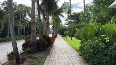 Cancun, Meksika; 25 Mayıs 2024: Cancun, Meksika 'da güzel bir tropikal bitki yürüyüşü. Böyle bir yerde yürümek sana hem mutlu, hem neşeli, hem de rahatlatıcı bir hayat veriyor..