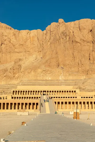 stock image Step through the sacred entrance to Hatshepsut's temple and be transported to ancient Egypt. The grand gateway leads to a series of terraces carved into the desert cliffs, offering breathtaking views.