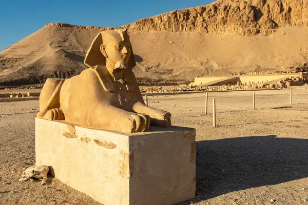 Stock image The Sphinx guarding the mortuary temple of Hatshepsut at Deir el-Bahari, ancient Egyptian architecture. The temple is located in the Theban Necropolis, on the west bank of the Nile River in Luxor.