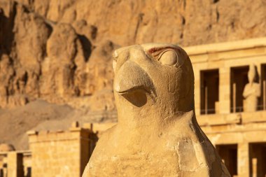 The statue of Horus, the falcon-headed god, stands as guardian of the Temple of Hatshepsut. This sacred place, dedicated to one of Egypt's greatest pharaohs, is eternally protected. clipart