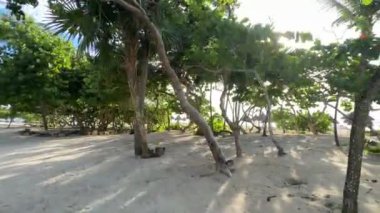 Tipik tropikal bitki örtüsü arasında şemsiyeler ve dinlenme yerleriyle dolu beyaz ve altından kumlu bir plaj boyunca yürümek, tatile çıkmak ve dinlenmek için ideal bir yer..