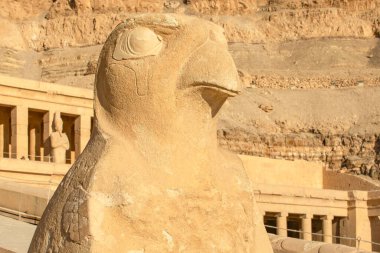 Şahin başlı tanrı Horus, Mısır 'ın Luxor kentindeki Hatshepsut morg tapınağının girişinde nöbet tutuyor. Bu antik Mısır heykeli koruma ve kutsallığın güçlü bir sembolüdür..