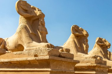 Karnak 'ın Sfenks Bulvarı boyunca kadim tanrıların ve firavunların hâlâ ülkeyi koruduğu ebedi bir yolculuğa çıkın..