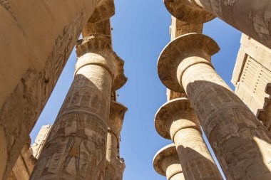 Karnak 'ın hipnoz salonunun sütunlarındaki karmaşık oymaların yarattığı göksel tavana bakarken bir merak hissi hissedin..