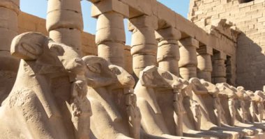 Taştan oyulmuş Karnak Sfenksi tapınağı gözetleyen bir nöbetçi olarak duruyor. Aslan gövdesi ve insan kafası firavunların gücünü ve bilgeliğini somutlaştırıyor..