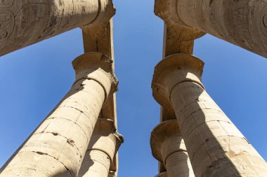 Luxor Tapınağı 'ndaki papirüs şekilli sütunların esrarengiz ormanı. Nil 'in bitkilerinden esinlenilen bu ince yapılar, doğayla bir bağ kuruyor..