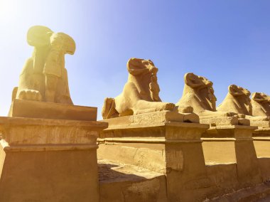 Karnak 'ın muhafız sfenksleri binlerce yıldır antik Thebes şehrini koruyan sembolik heykellerdir. Bu yaratıklar gücün ve korunmanın sembolleri..