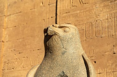 Tapınak Muhafızı 'nı keşfedin, Horus' un şahin heykeli, Edfu tapınağının kalbinde. Antik Mısır sanatının bu görkemli parçası güçlü bir koruma ve kutsallık sembolü olarak hizmet vermektedir..