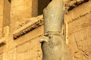 Horus heykeli, Mısır tacı ile süslenmiş, Horus tapınağını eski Mısır firavunlarının diyarındaki Edfu 'daki kutsal tüneğinden izliyor..