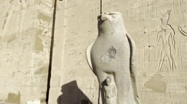 Edfu, Mısır; 17 Ocak 2024: Edfu Tapınağı 'na yaklaşırken Horus' un dikkatli bakışlarını hissedin. Şahin başlı Tanrı 'nın görkemli heykeli kutsal tapınağına gelen ziyaretçileri karşılamak için onun bölgesinin başında nöbet tutuyor..