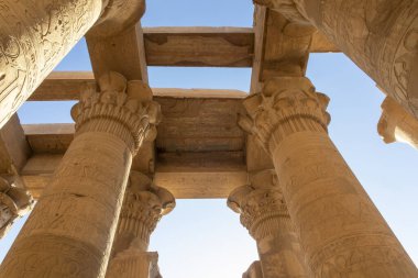 Kom Ombo, Mısır; 17 Ocak 2024: Kom Ombo tapınağının çatısını destekleyen granit sütunların büyüklüğü. Karmaşık tasarımlarla süslenmiş bu devasa yapılar....