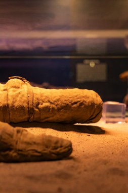 Kom Ombo Timsah Müzesi 'nde mumyalanmış timsah koleksiyonu. Bu antik sürüngenler timsah başlı tanrı Sobek için kutsaldı..