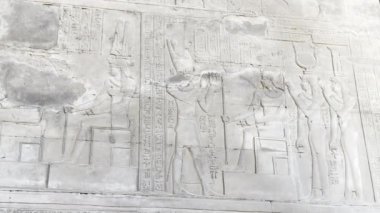 Kom Ombo, Mısır; 17 Ocak 2024: Kom Ombo tapınağının duvarlarını kaplayan hiyeroglifler, timsah tanrısı Sobek 'e adanmıştır. Bu karmaşık oymalar Mısır mitolojisi hakkında değerli bilgiler sağlıyor..
