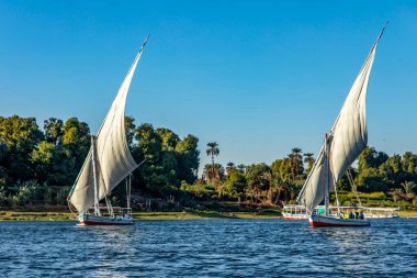 Aswan, Mısır; 18 Ocak 2024: Nil Nehri faluçalarının firavunların topraklarında yelken açmasına tanık olun. Bu geleneksel yelkenliler Nil Nehri 'nin nefes kesici manzarasını sunuyor..