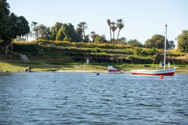 Aswan, Mısır; 18 Ocak 2024: Çöldeki bir felucca ve coşkulu bitki örtüsünde Nil Nehri 'nin doğal güzelliğini keşfedin. Bu teknedeki resim gibi yolculuk benzersiz bir ekosistemi gösteriyor..