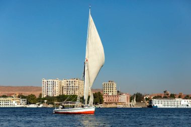 Aswan, Mısır; 18 Ocak 2024: Çölde Mısır 'da yemyeşil bir şekilde Nil Nehri' nde dolaşmak. Çöl ve yemyeşil bitki örtüsü arasındaki eşsiz buluşma noktasına tanık olun..