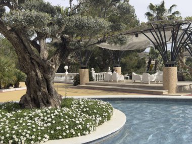 Arka planda Ricote Vadisi manzarası, Segura Nehri, Archena, Murcia olan bir zeytin ağacı havuzunun yanında rahatlayın. Doğanın ve huzurun bu eşsiz karışımını hisset..