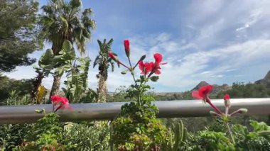 Archena, Murcia, İspanya 'daki Segura nehri boyunca uzanan Fas Vadisi' nin ihtişamına tanık olun. Benzersiz manzarasını ve tarihini keşfedin..