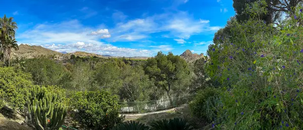 Murcia 'daki Ricote Vadisi' nin panoramik görüntüsünü yakalayın. Fas Vadisi olarak da bilinir. Segura Nehri 'nin güzelliğini ve Archena gibi büyüleyici kasabaları keşfedin..