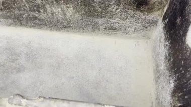 Kahire, Mısır; 20 Ocak 2024: Memphis, Mısır 'ın ana mezarlığı olan Saqqara Piramidi içinde Firavun Zoser' in Kraliyet Mezarı 'nı keşfetmek. Eski gizemleri ve firavunsal ihtişamı gün ışığına çıkar.