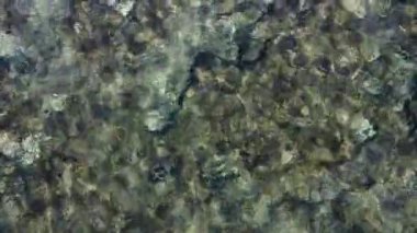 Video, sahile yakın dokulu su yüzeyini gösteren bir deniz kıyısının yukarıdan aşağı perspektifini yakalıyor. Dalgalar sakindir, nazik ve doğal bir hareket yaratır. Kamera yavaş yavaş yukarı doğru döner.