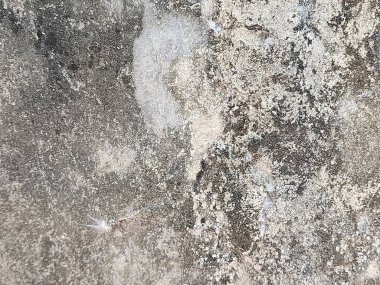 grunge beton duvar dokusu arka plan, soyut çimento zemin arka plan