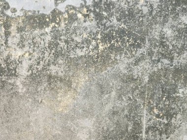 Grunge cement wall texture. Abstract background and texture for design.