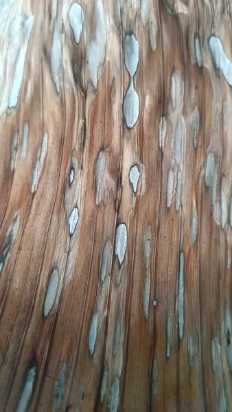 Holzstruktur Mit Natürlichem Muster Für Hintergrund Und Design Nahaufnahme — Stockfoto