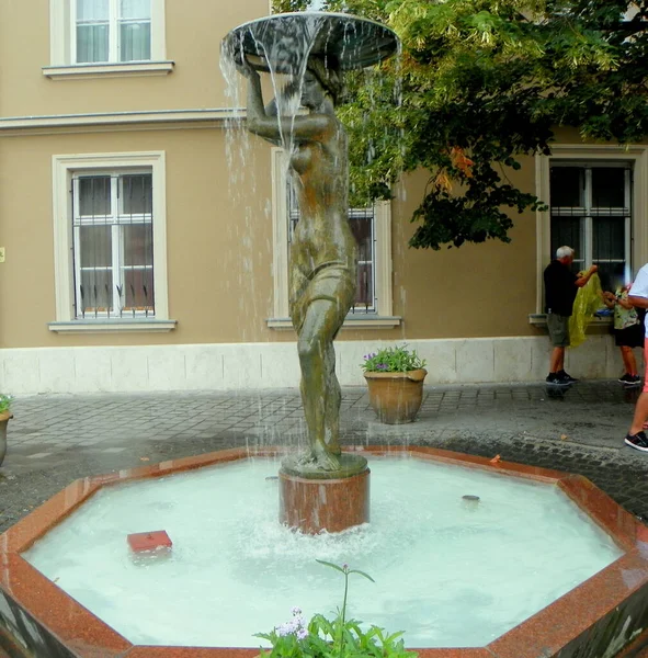 Hungary Budapest Buda Castle Tarnok Fountain — Stock Photo, Image