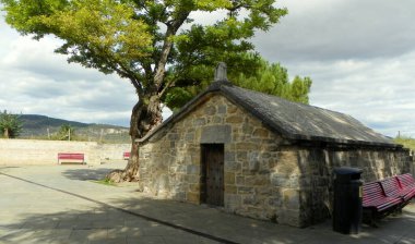 Spain, Pamplona, Ronda Obispo Barbazan, Mirador del Caballo Blanco, tree and stone building