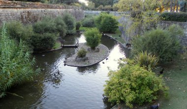Spain, Pamplona, Taconera Park, nature in the park, pond
