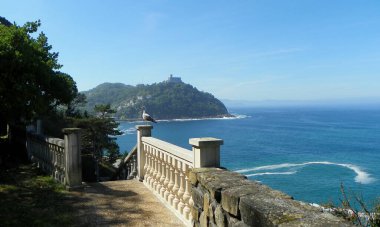 Spain, San Sebastian, Mount Urgull, lonely seagull