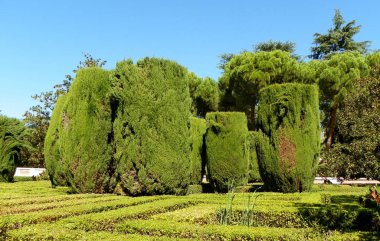 Spain, Madrid, Sabatini Gardens, nature in the park