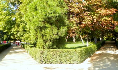 Spain, Madrid, El Retiro Park, alleys and bushes in the park