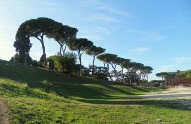 Italy, Rome, Circus Maximus, the territory of the ancient circus and nature