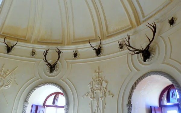 Portugalia Sintra Pałac Penia Wnętrze Pałacu Stag Hall — Zdjęcie stockowe